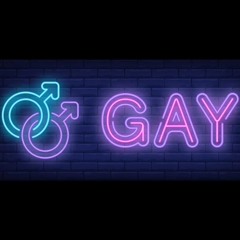 Gay Led neon sign 